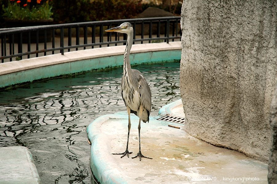ueno park 49.jpg - 上野公園